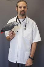 Veterinarian  - Dr. Tony Poutous, V.M.D.